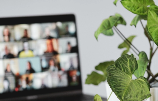 blurred background with laptop and green flower in small room in mobile app development services provider hq