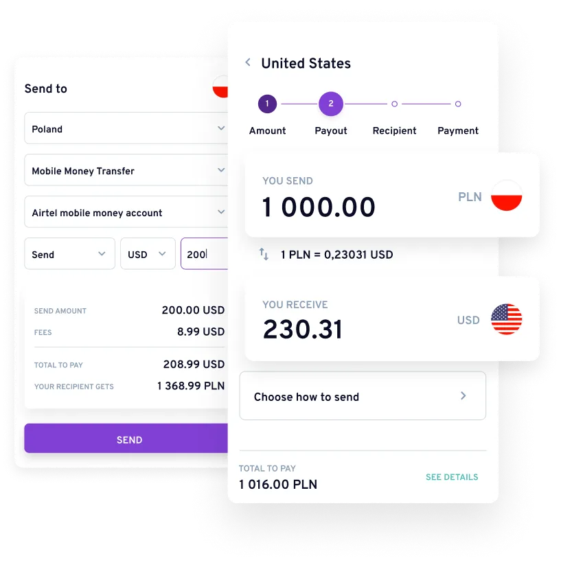 remittance software development